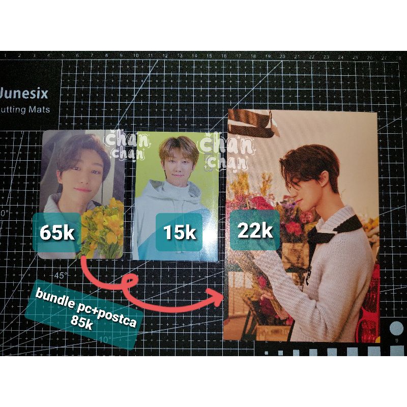 READY PC SEVENTEEN ONE SIDE VER. YOUR CHOICE | TC CARLAND| POSTCARD YOUR CHOICE s.coups jeonghan jos