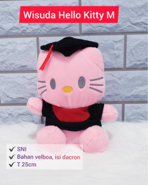 Boneka Wisuda Karakter SNI