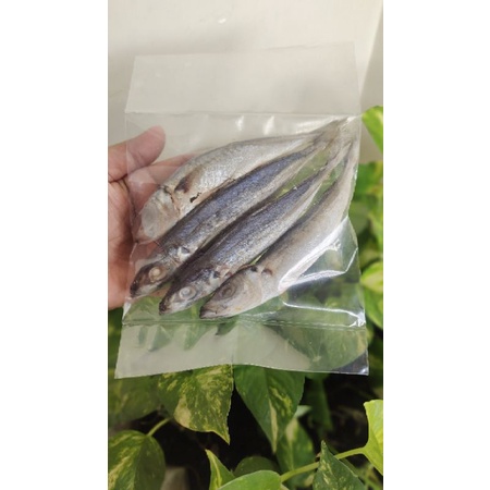 

Ikan Asin Klotok