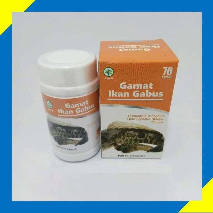 Kapsul Ekstrak Gamat Ikan Gabus Ekstrak Gamat Ikan Gabus obat diabetes