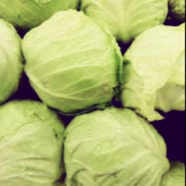 

KOL SAYUR 1/2KG