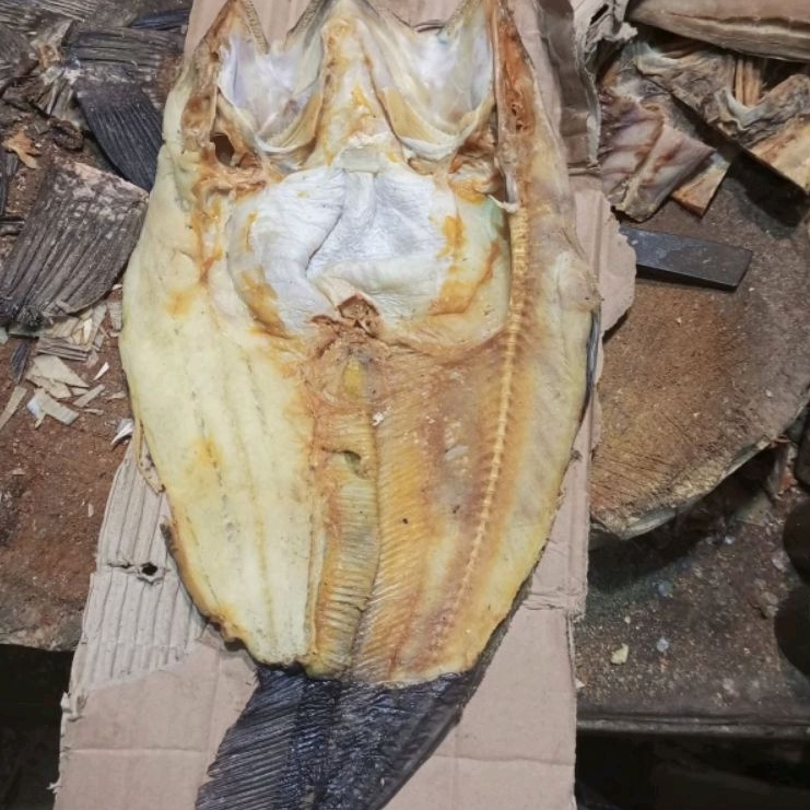

tapah ikan kering