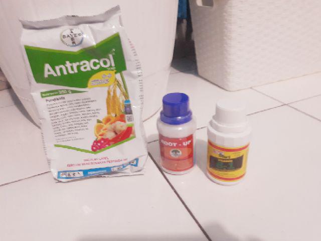 Antracol Kemasan Pabrik 250 Gram ( Fungisida )