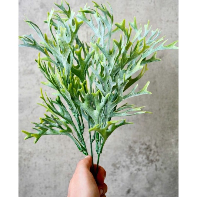 tanduk rusa artificial / daun tanduk rusa