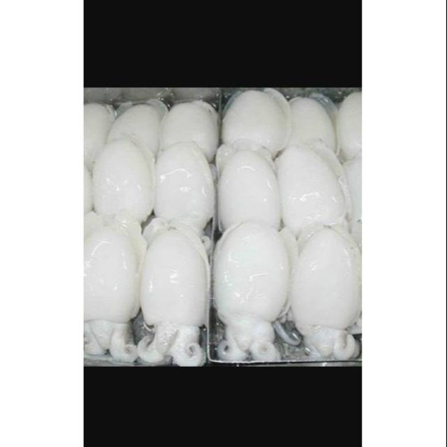 

SOTONG SEGAR JUMBO / IMPORT 1 KG