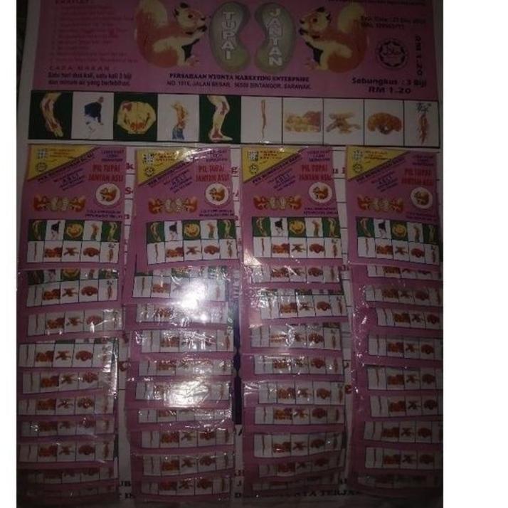 

[KODE PRODUK JWWIZ9242] pil Tupai jantan asli