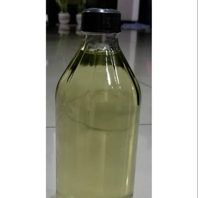 Minyak kayu putih asli Ambon