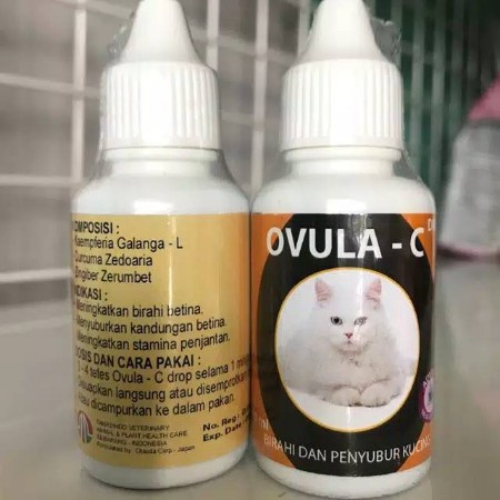 Ovula - C obat birahi dan penyubur kucing ovula c