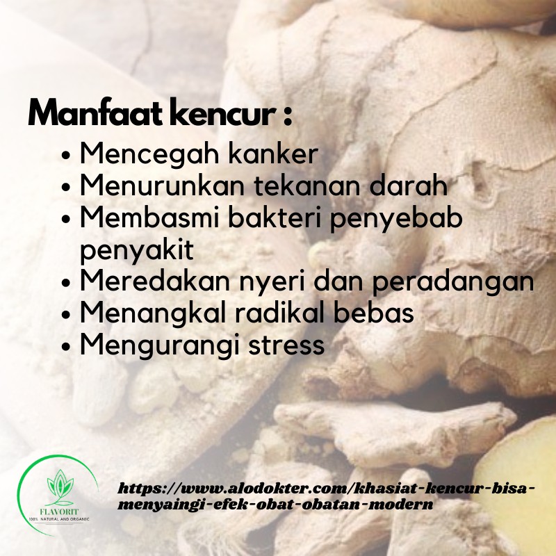 Rempah Kencur Bubuk Asli Murni Bumbu Dapur Organik Penyedap Rasa Non msg Herbal Jamu Grade A