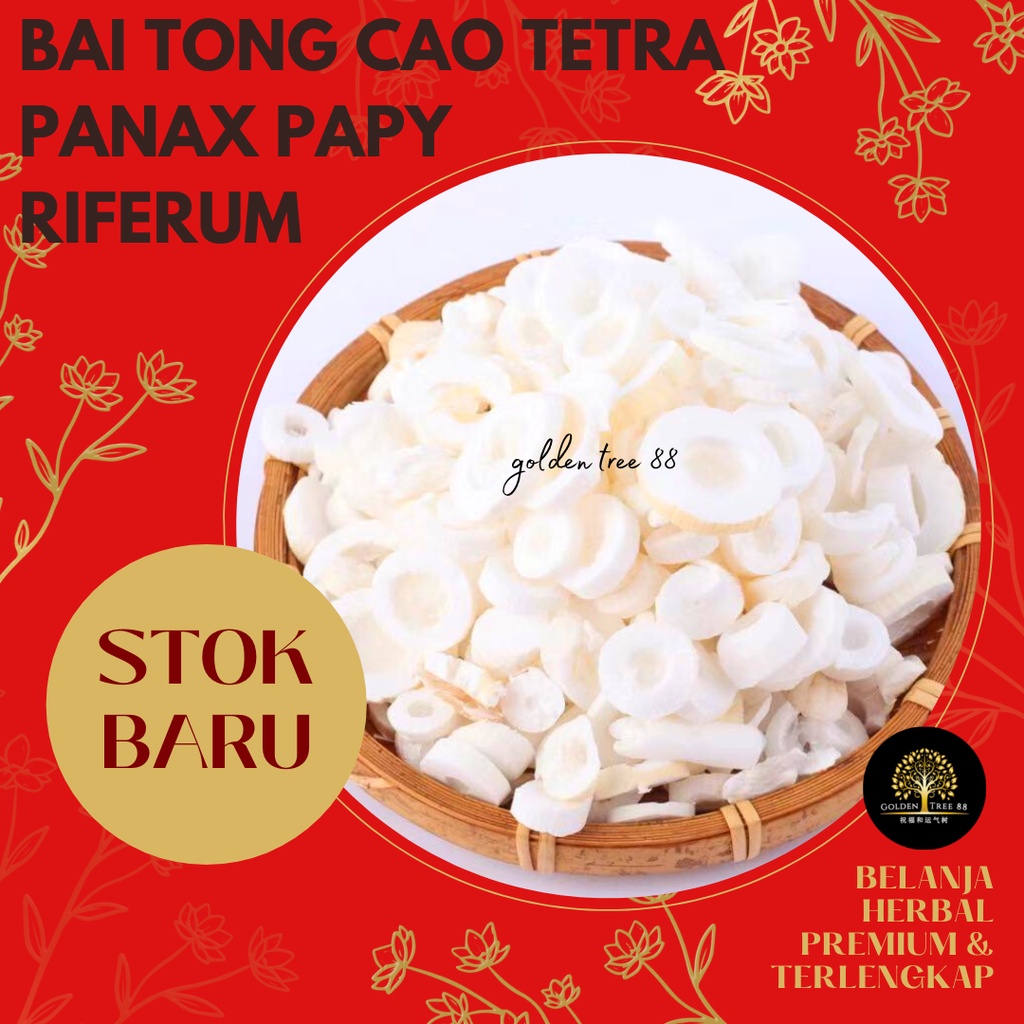 

100 gram Premium Bai Tong Cao Tetrapanax Papyriferus Fresh Original