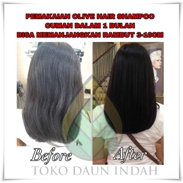 [COD] 3in1 Paket Pemanjang Rambut Shampo+Kondisioner+Tonic Ampuh dalam 2 Minggu | SYB Olive BPOM