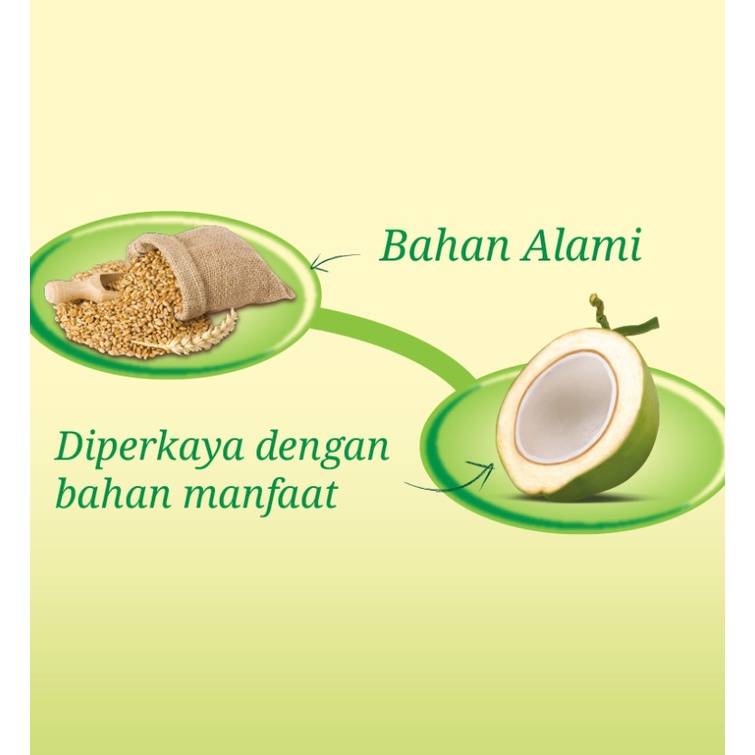 ROMA KELAPA BISKUIT 300 Gr