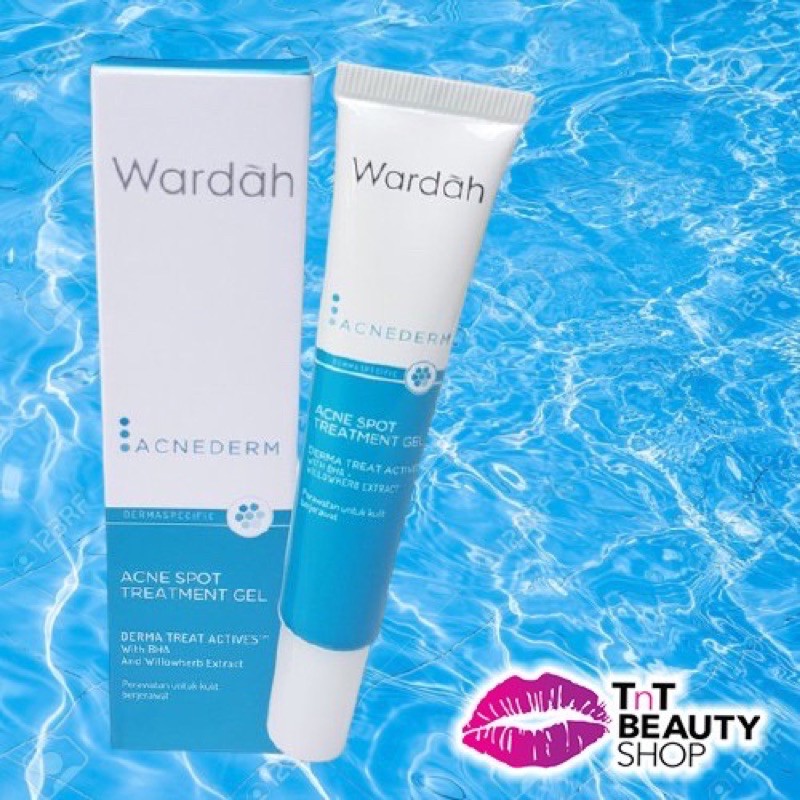 WARDAH ACNEDERM ACNE SPOT TREATMEN GEL