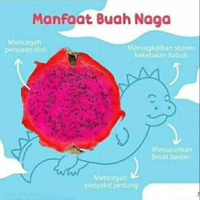 

Buah naga