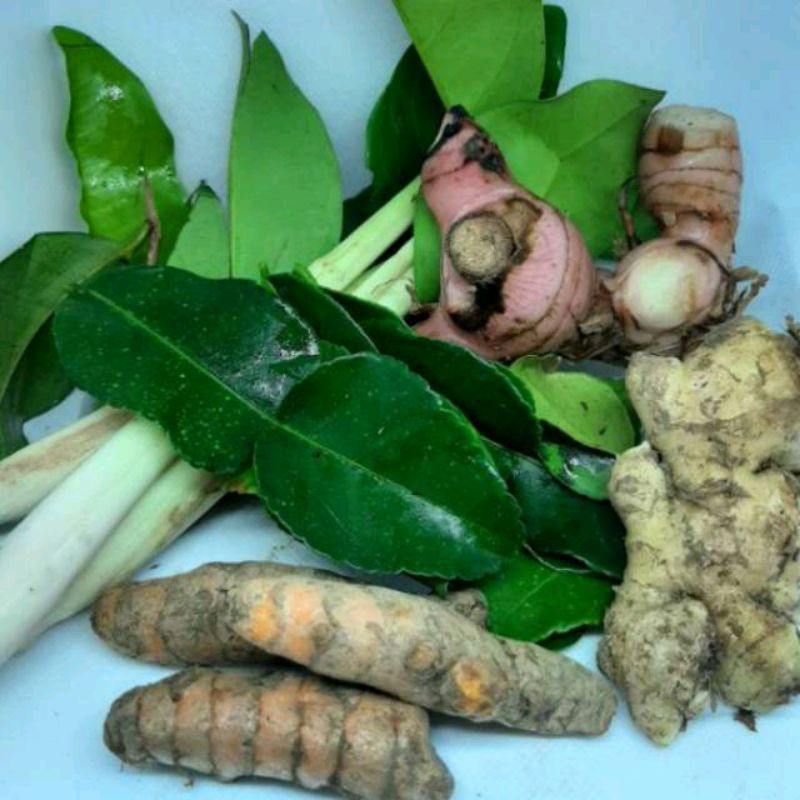 

Bumbu Dapur Komplit / 1 bungkus