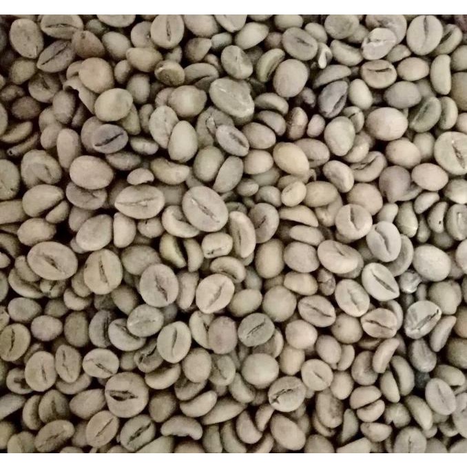 

[COD] Kopi Robusta Malabar Green bean Coffee Natural Process Rasa Arabika [COD]