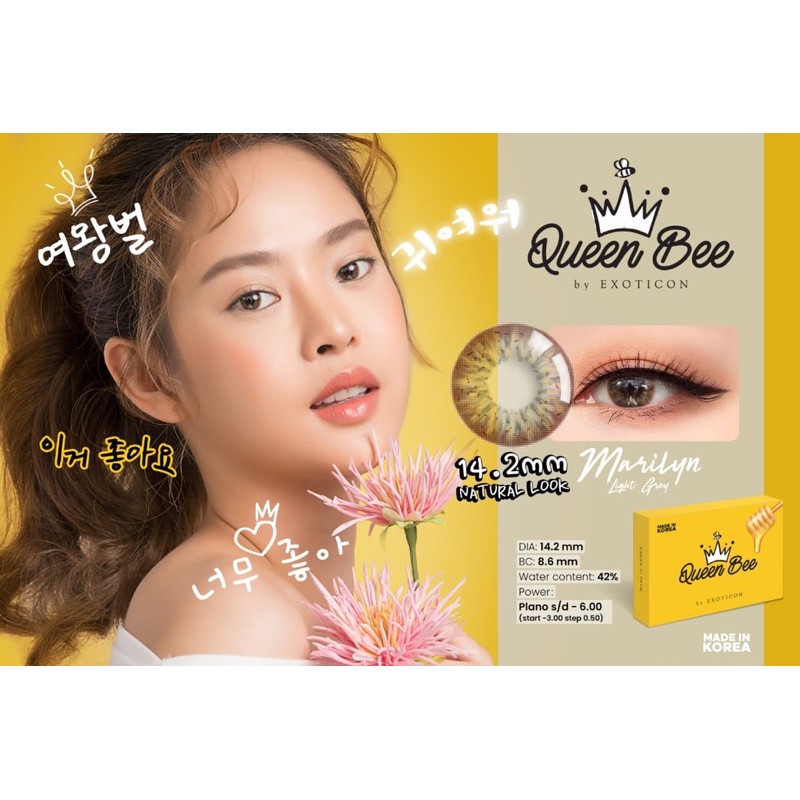 Softlens X2 QUEEN BEE Normal &amp; Minus 0.50 - 2.50 Dia 14.2MM / FREE LENSCASE - KASIMURA