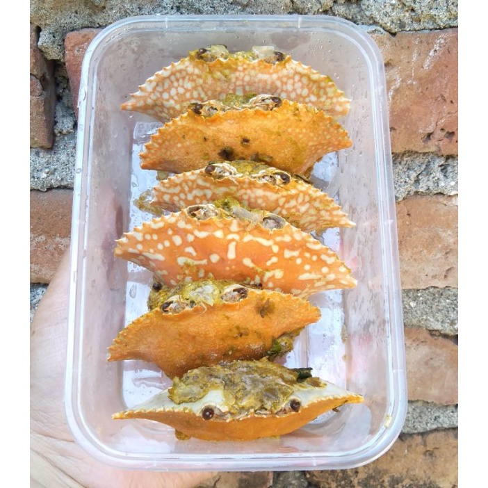 

Ketam/rajungan