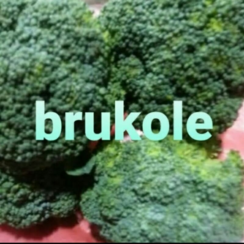 

brokoli seger & fresh