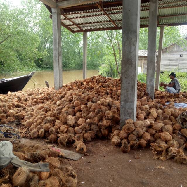 

Kelapa Santan