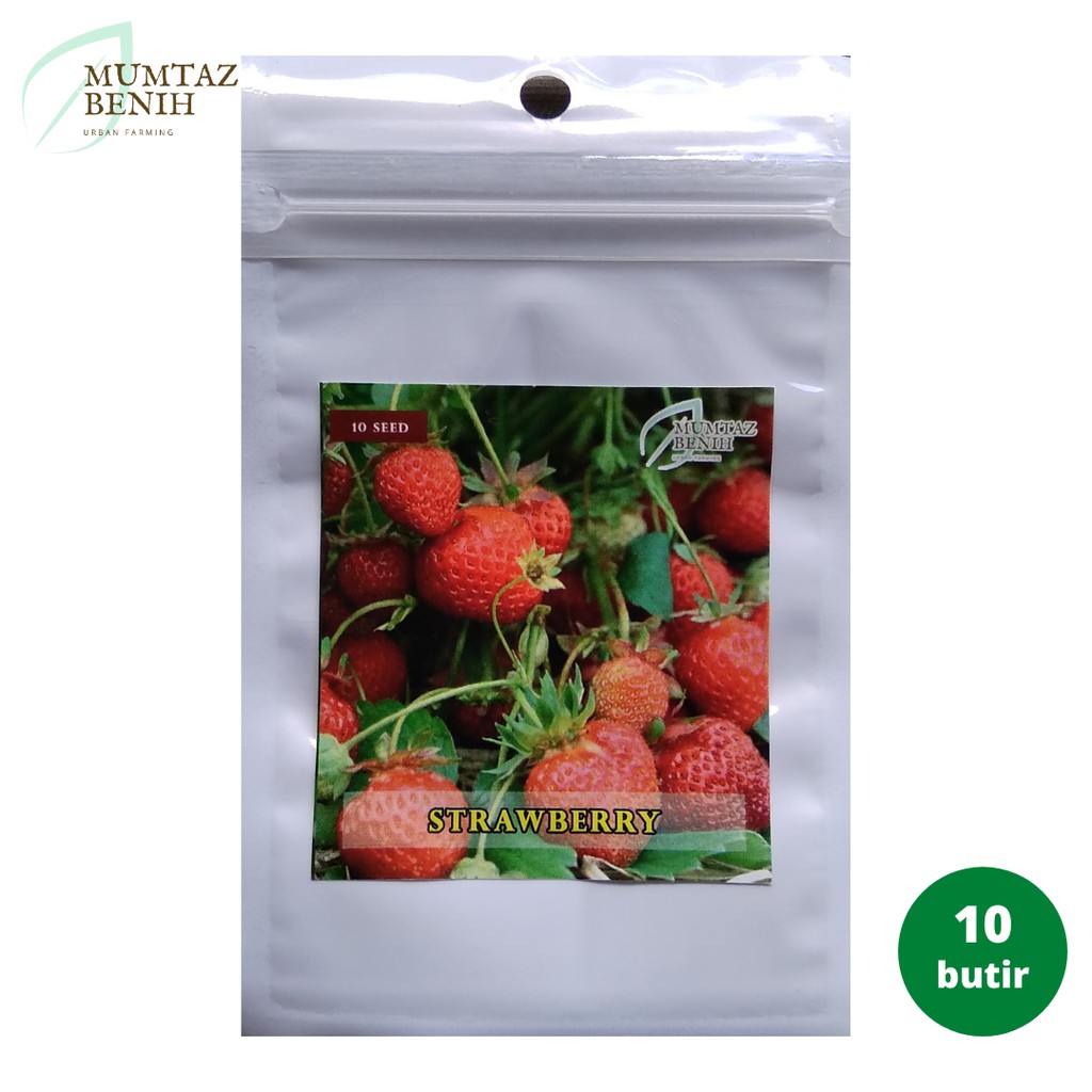 Benih/Biji Strawberry (Mumtaz)