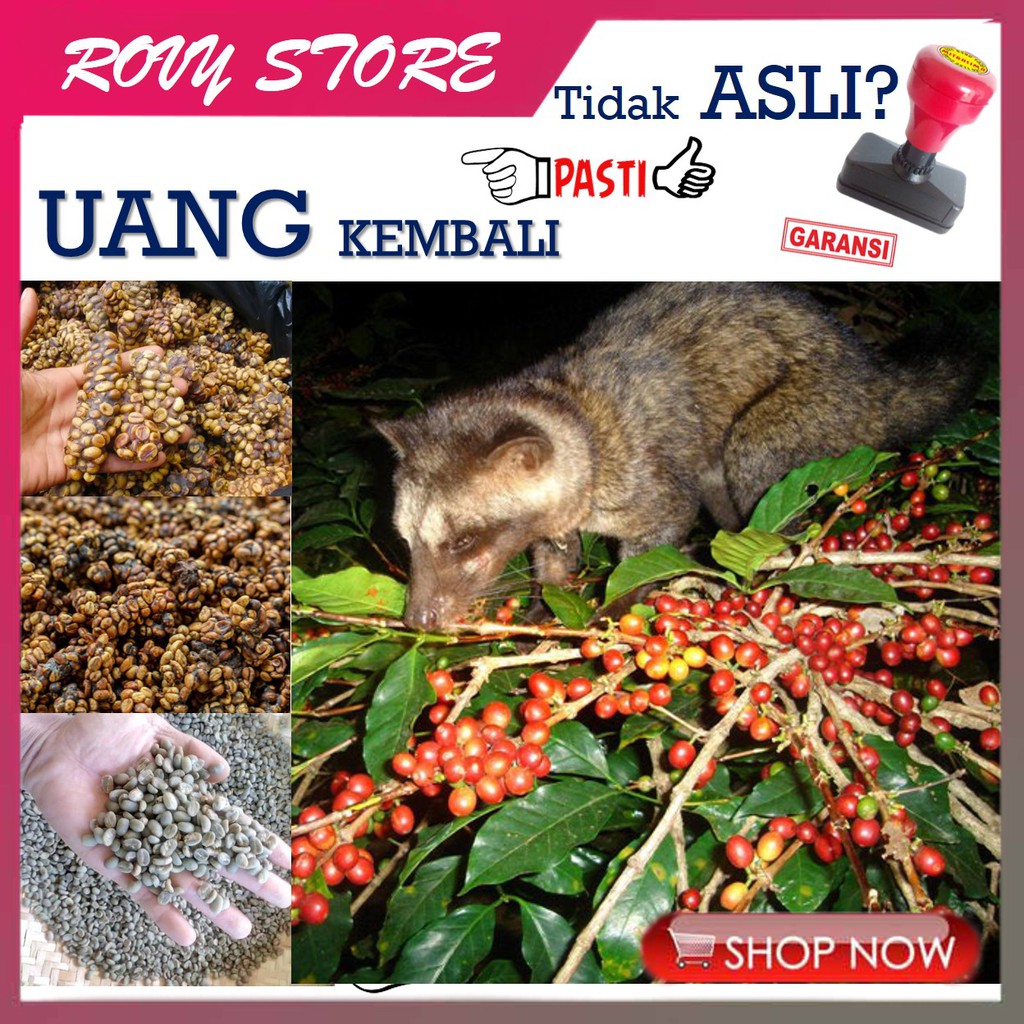 Kopi Arabika Luwak Liar Murni Kering Biji Kopi Luak Arabika Garut 1kg Grosir Murah original 100%