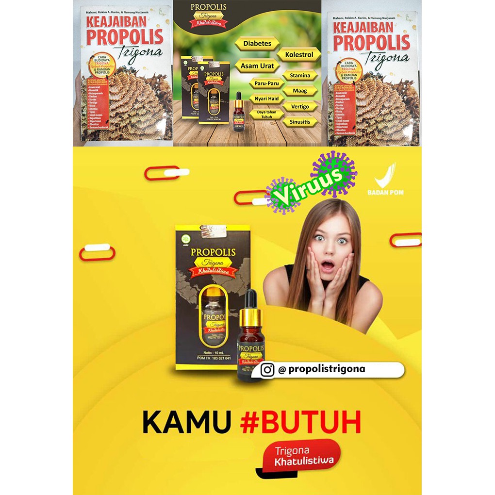 ✅ ASLI MURNI ✅ Propolis Trigona Khatulistiwa dari Lebah Terbaik Garis Khatulistiwa