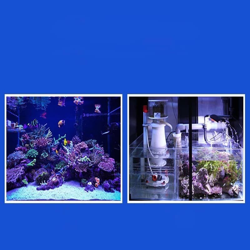 Protein Skimmer 300-500 Liter Bubble Magus Curve A5 Aquarium Air Laut