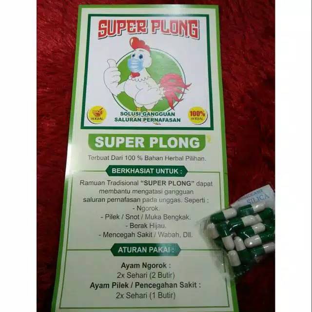 SUPER PLONG ayam