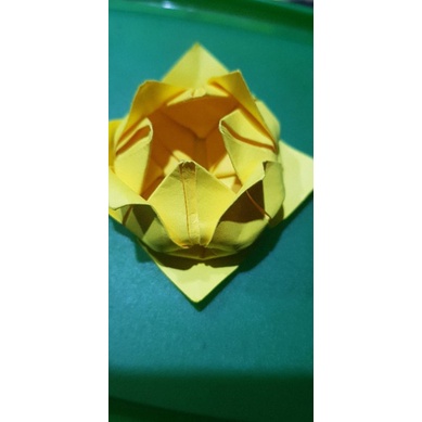 

lotus origami
