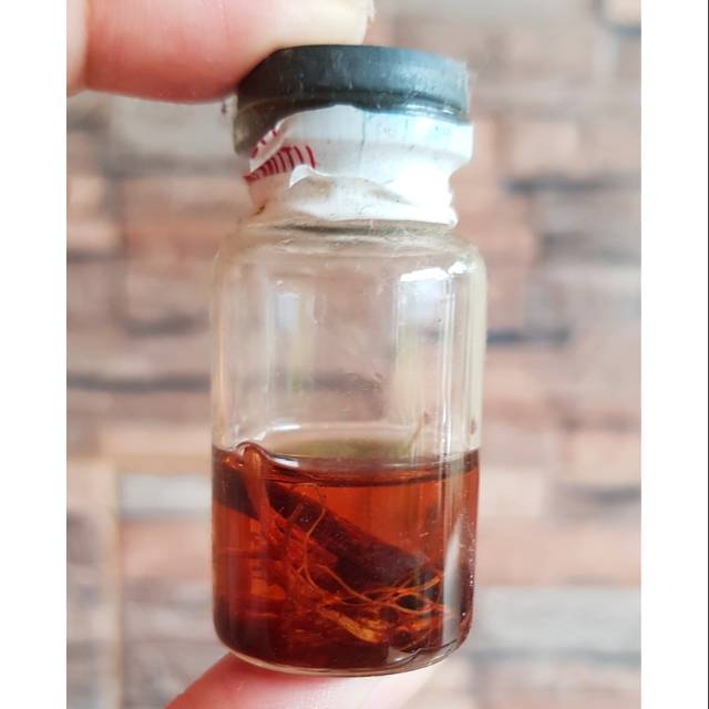 Minyak Bulus/ Pembesar payudara/ Pengencang payudara