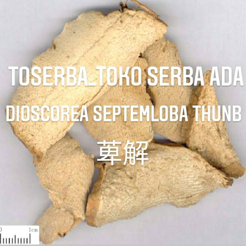 

100gr Herbal Chuan Bi Xie 川萆薢 Chuan Tai Pian 川太片 Sevenlobed Yam Rhizome Grade A