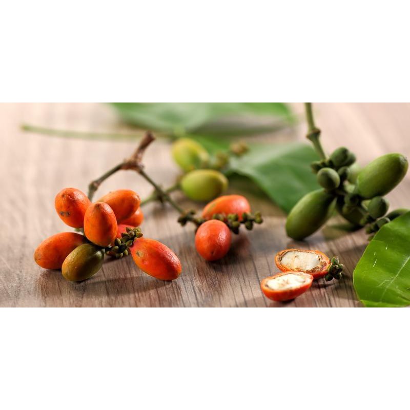 

Melinjo 1 Bungkus - 50 Gr