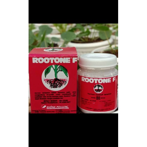 Hormon perangsang akar Rootone F 15gram