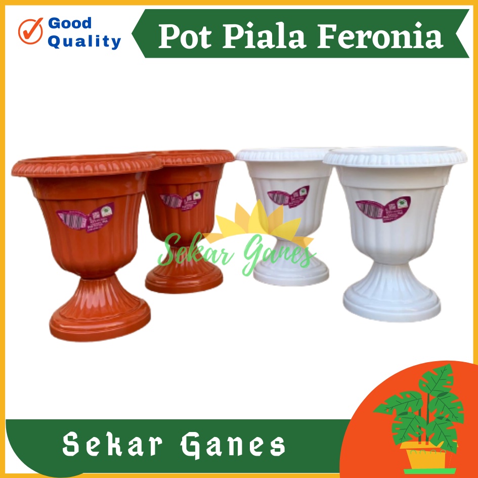 POT PIALA GREEN LEAF FERONIA 6152 PUTIH MERAH BATA TERRACOTA MERAH COKLAT Pot Piala Tinggi Putih Plastik hitam pendek 50 - POT PIALA GREEN LEAF FERONIA 6152 pot bunga pajangan model juara cantik bagus murah