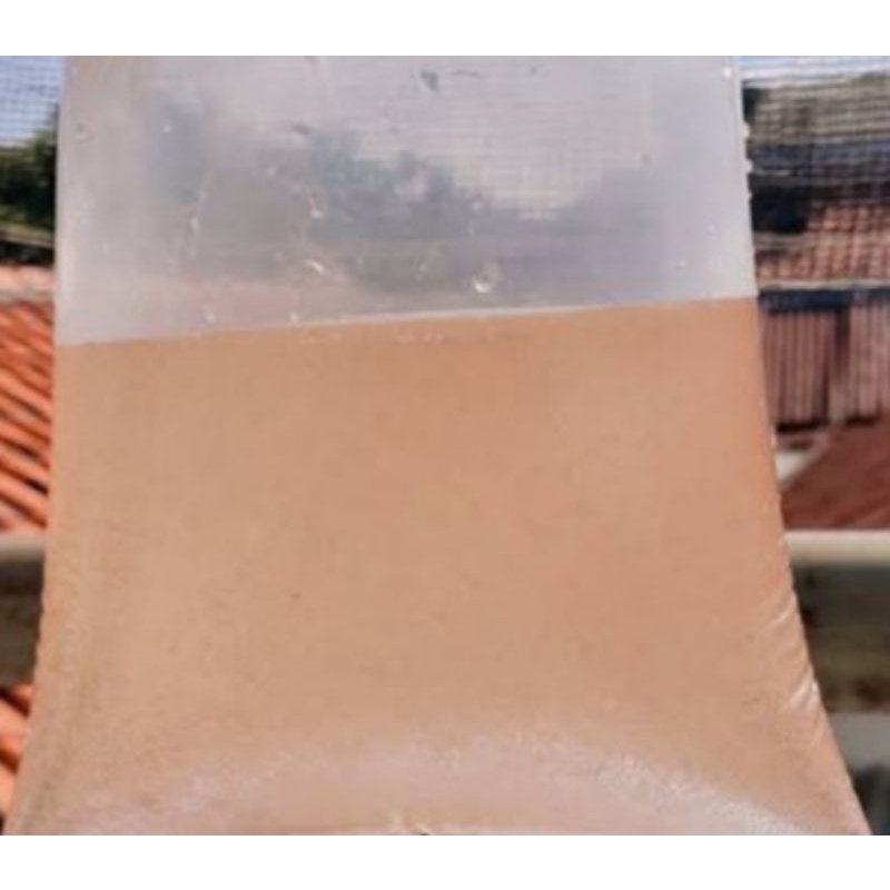 artemia / pakan burayak