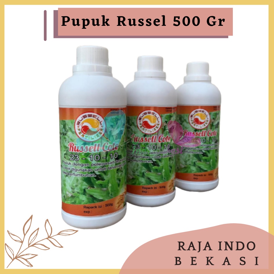 Pupuk Russell Cote Slow Release 23-10-10 500 Gr Pupuk Osmocote 23-10-10 Aglonema Monstera, dan Tanaman masa vegetatif Pupuk Slow Release Original Untuk Sawit Thailan Dus Bonsai - Russell Cote Slow Release 23-10-10 Pupuk Osmocote 23-10-10 Aglonema dll