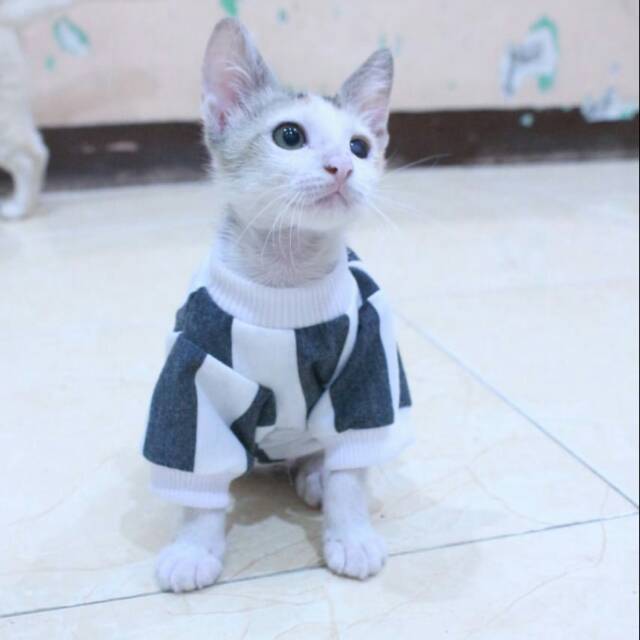 Kaos strip hitam putih motif besar lucu untuk kucing dan anjing baju kucing murah size S M L XL