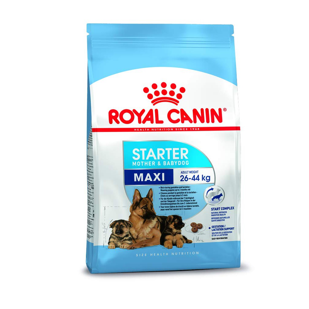 Royal canin dog starter maxi mother and baby 4kg