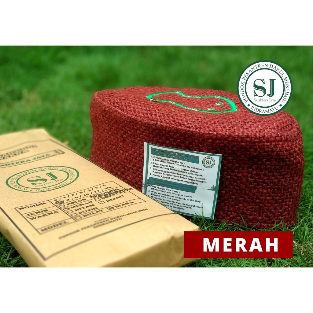 PECI GONI LOGO TEROMPAH