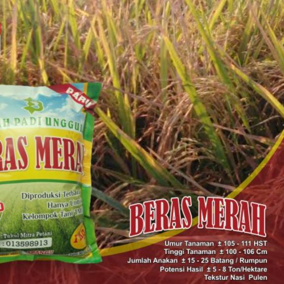 ☼ Benih Padi Beras Merah / Bibit Padi Beras Merah ♟