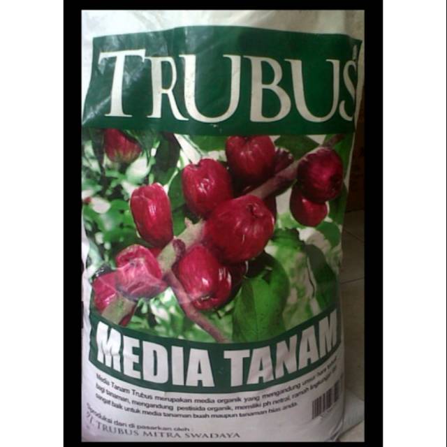 Media tanam trubus