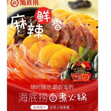 

⚡️TERLARIS BRANDS FESTIVAL⚡️ Haidilao Instant Hotpot Self Heating Hotpot 海底捞自热火锅 !