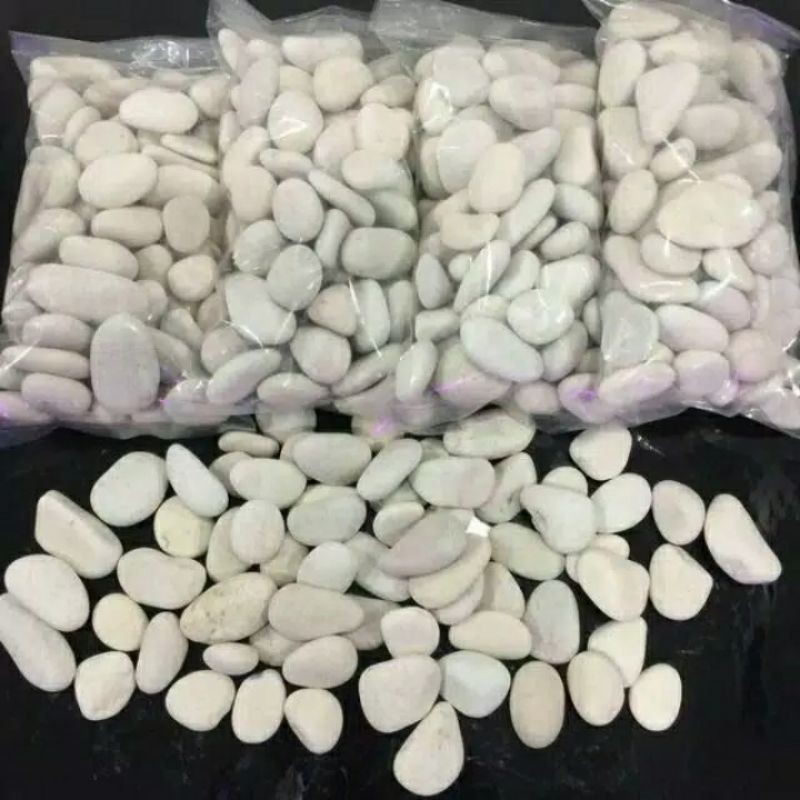 BATU HIAS BATU SIKAT BATU TAMAN 1 Kg