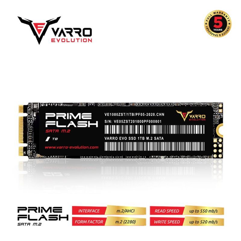 SSD M. 2 1TB VARRO