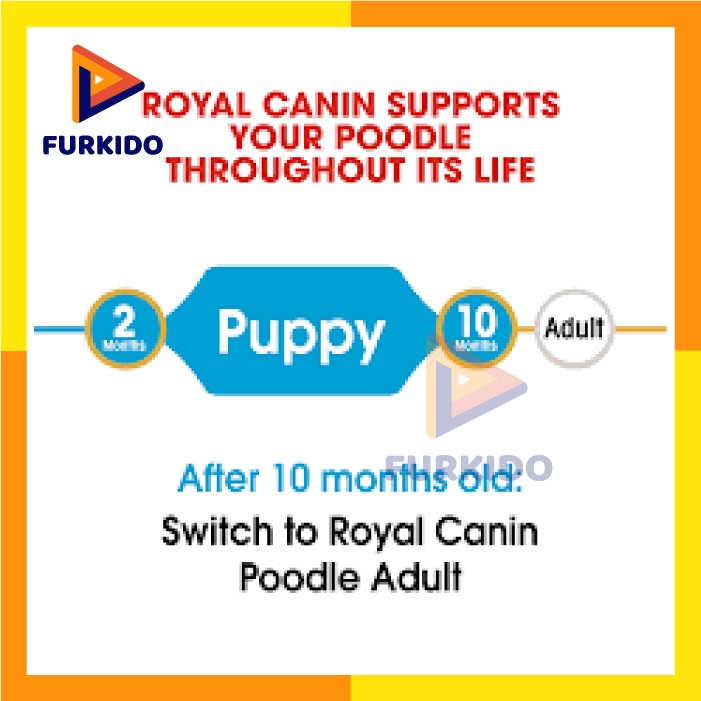 Royal Canin Puppy Poodle 3 KG