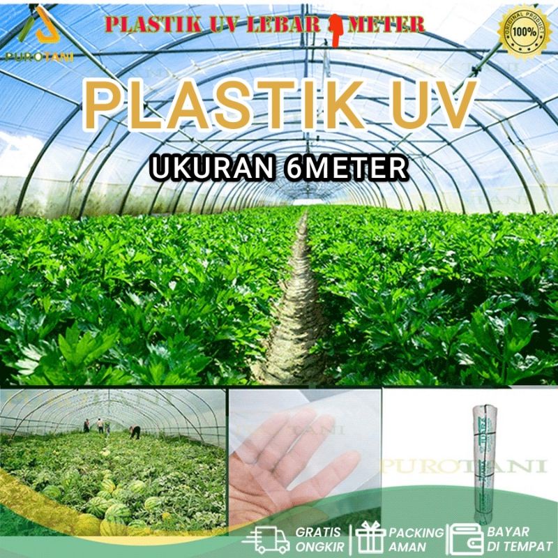 Plastik UV 6M Green House Lebar 6 Meter Yupi Plastic Ultraviolet 6 M