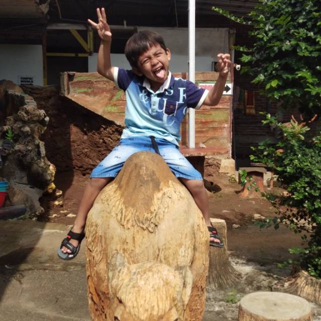 alfiantodariskaputra