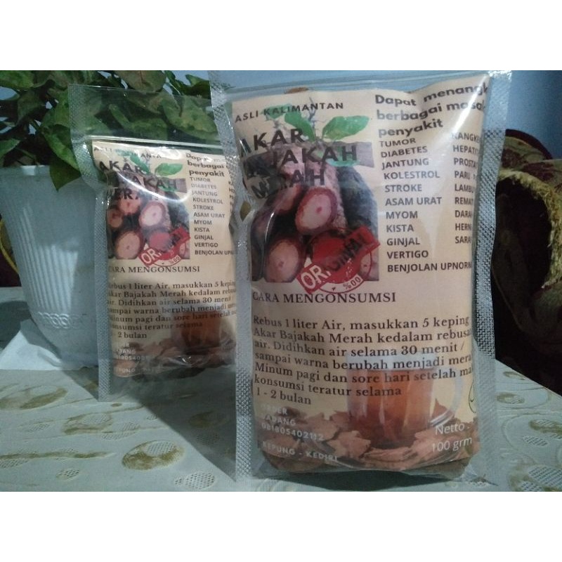 Akar Bajakah Tampala merah asli kalimantan