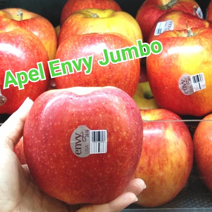 

BUAH APEL ENVY JUMBO / 2 BUAH